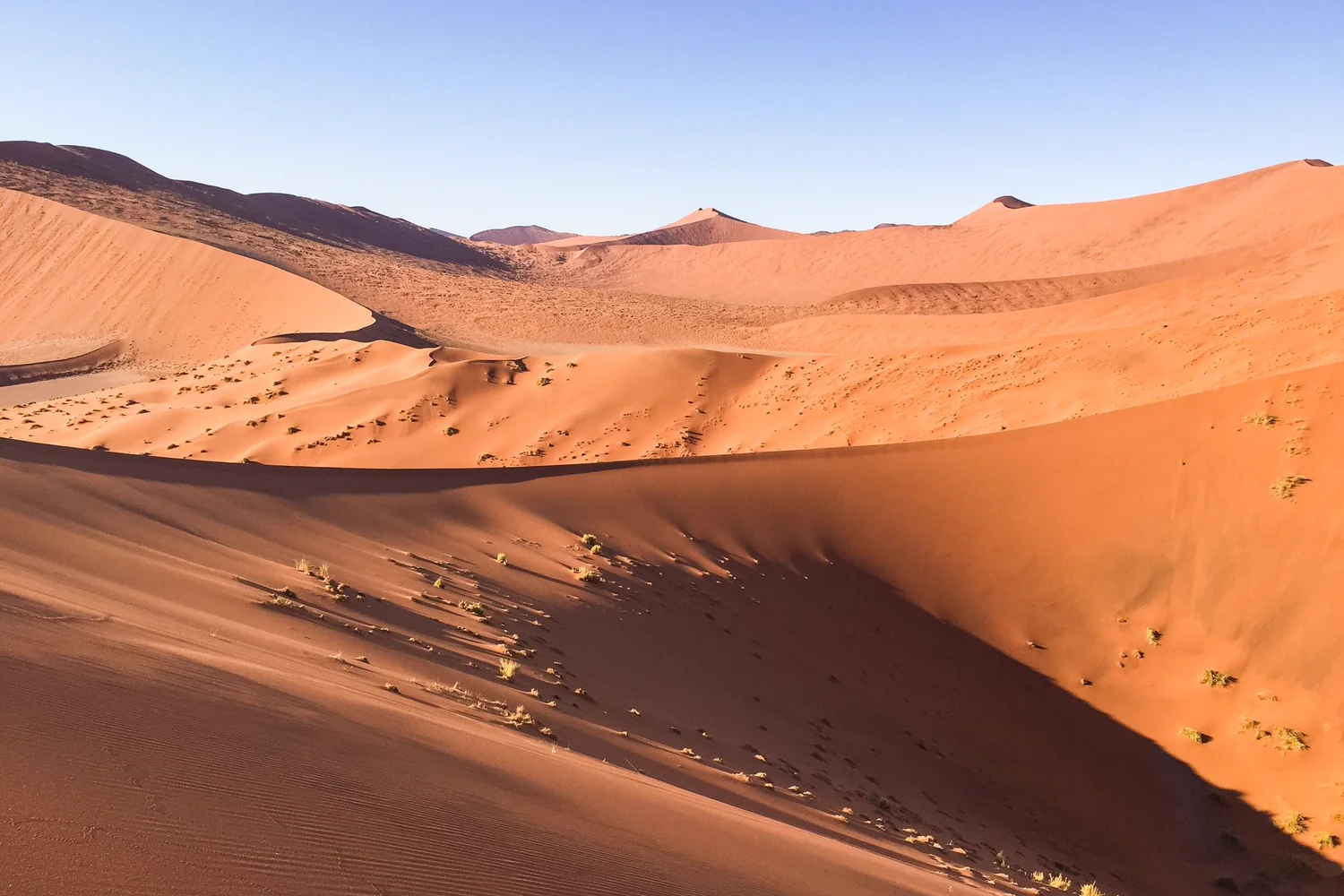 Wide Namib desert vista, Namibia