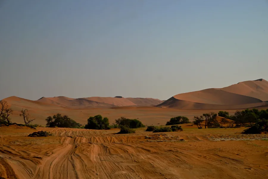 4x4 tracks leading toward the Sossusvlei dune sea